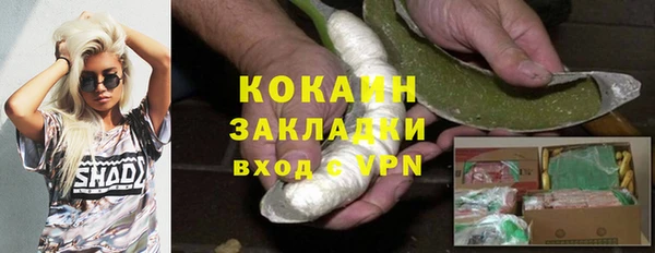 шишки Богданович